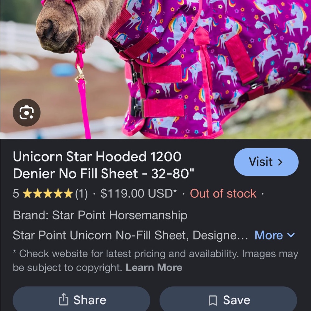 48-50 mini horse unicorn sheet